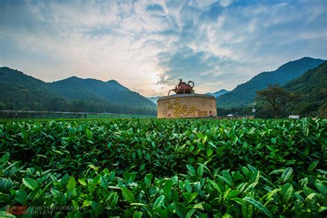 西湖区厨师培训中心