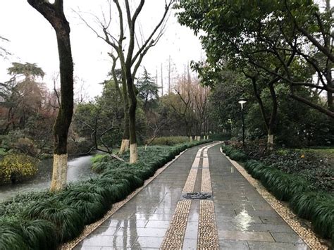 杭州拱墅区咖啡师班