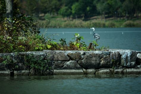 萧山区注册会计师考前课程