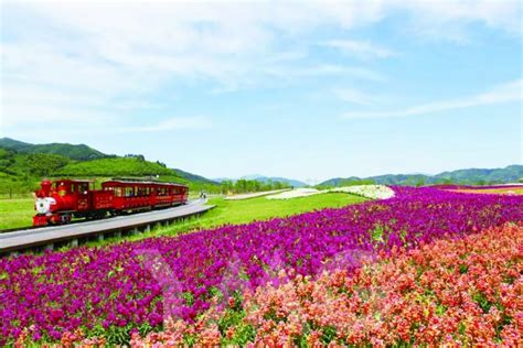 余杭区注会面授培训课程