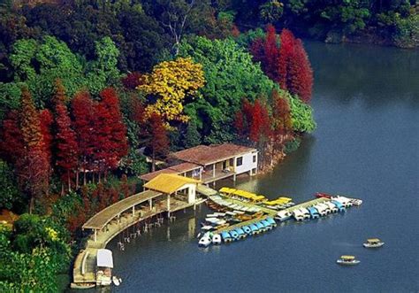 广州白云阿里巴巴培训