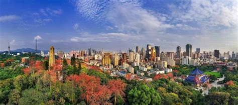 越秀区注会考前辅导课程