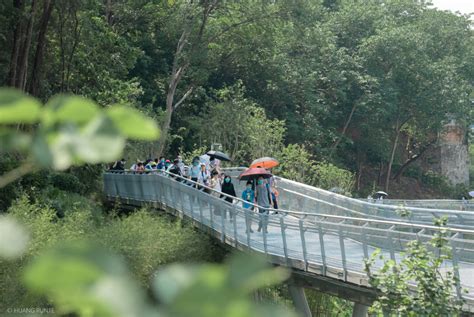 广州哪里有学java web培训机构