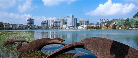 【白云区java培训价格】