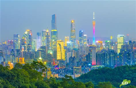 广州java入门费用