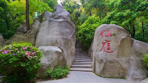 越秀日语高级班