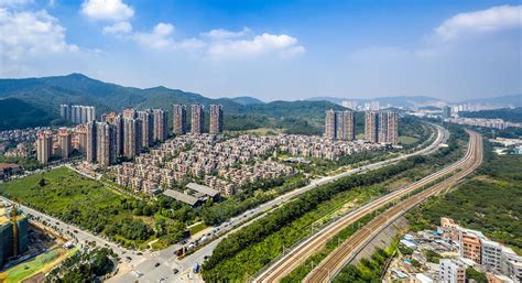 东莞学国学到哪个机构