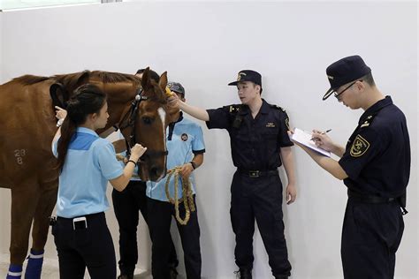 从化市总裁研修课程
