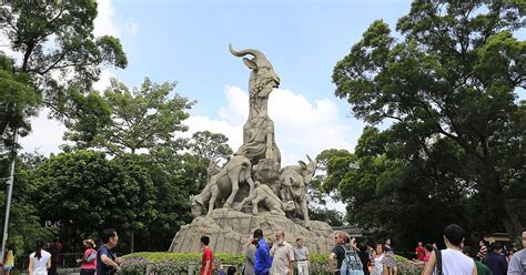 【广州越秀区ccie课程】
