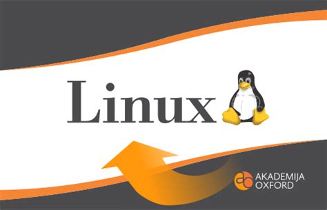 【天河区linux基础课程】