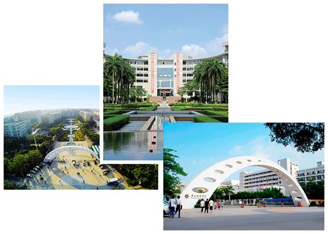 白云区北京学内审员