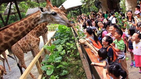 广州哪里有游戏动漫 培训辅导课程