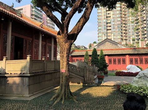 广州朗阁培训机构