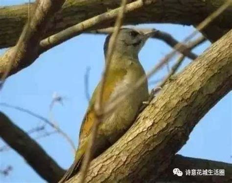 广州海珠区总裁mba进修收费是多少