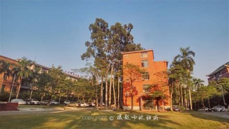 广州千秋业工农兵学商 穿越夏令营