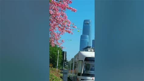 广州早教儿歌,广州婴儿早教儿歌,广州两岁宝宝早教