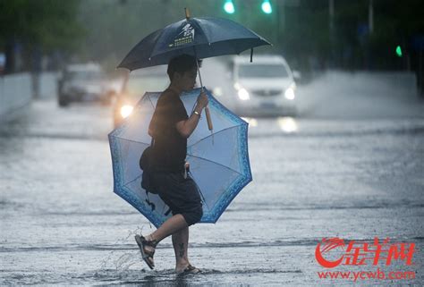 广州早教课程培训哪家有