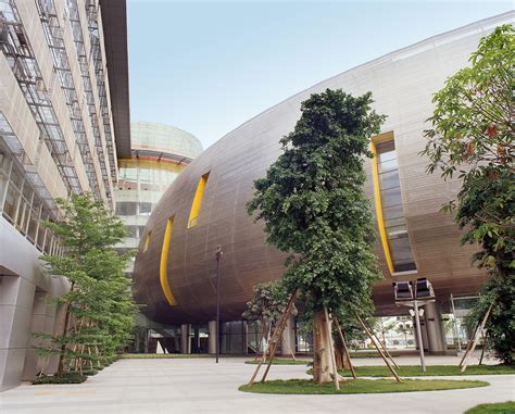 广州少儿围棋入门专业培训班