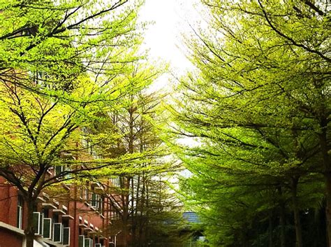 广州学初级java程序员机构