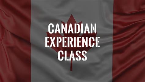 小主持/朗诵/演讲/兴趣体验班