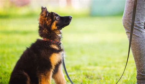 小主持培训常规课程