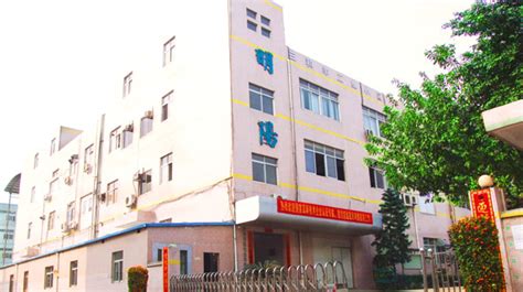 深圳大学阳光派遣生学历承认吗