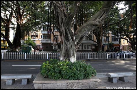 海珠区专业培训班费用