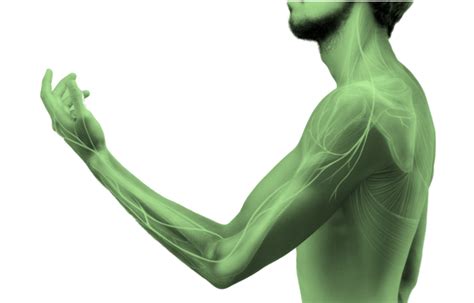 天河区高级微师培训费用