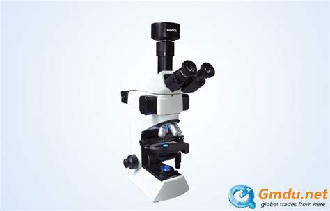 广州微培训机构学费