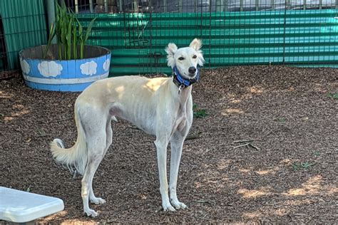 荔湾微培训哪家好