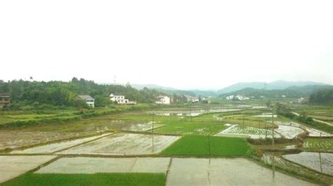 广州哪里美容师培训好