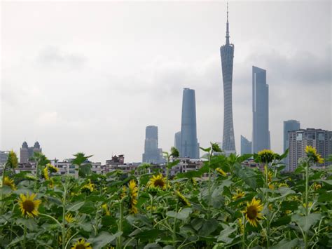 广州夏令营报名