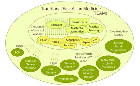 ​高级中医针灸提升班