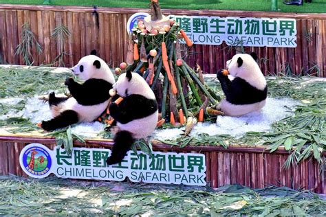 番禺区社交培训班