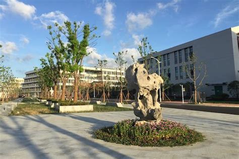 滨江学大学英语六级