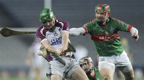 下城区哪里有中级职称培训