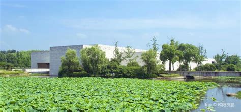 余杭区中级会计学习哪家好