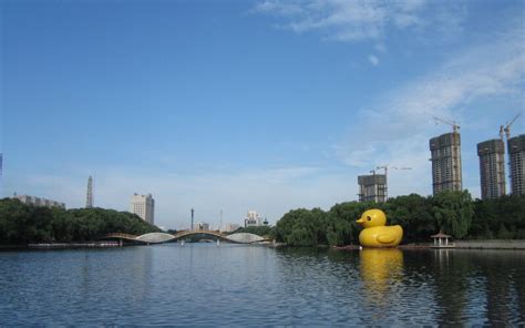 沈阳太奇兴宏程一级建造师培训