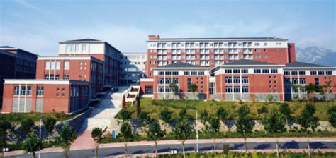 大连高级糖艺学习