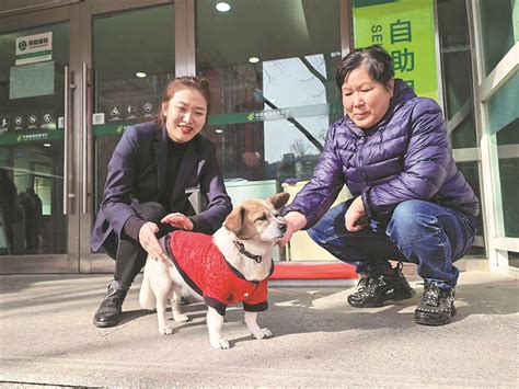 大连西班牙语a1培训