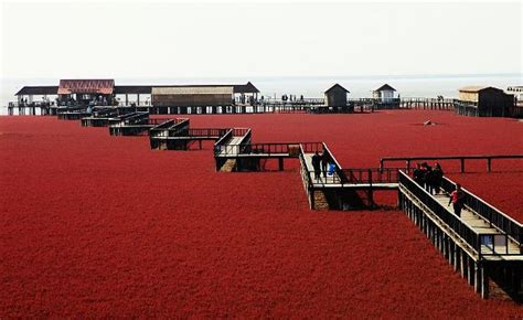 盘锦复读哪里有