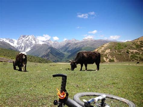 大连专业php培训