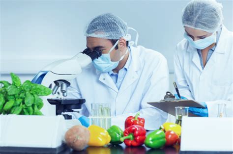 沈阳熟食技术培训_沈阳熟食培训_沈阳熏酱熟食培训