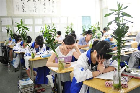 沈阳淘宝学习班
