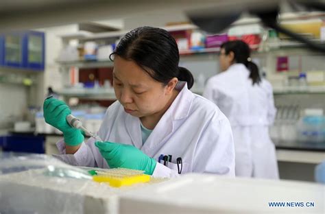 沈阳雅思暑假班