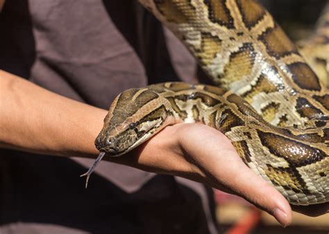 python适合哪些人学