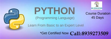 广州python网站开发培训机构