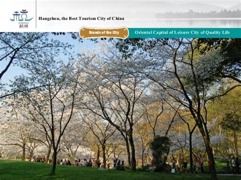 杭州CPA注册会计师在线提升课程