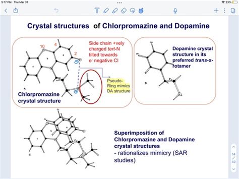 长春哪里有催乳师培训