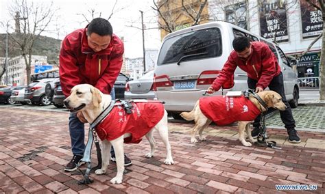 大连导游资格证培训班